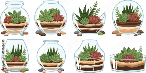 Succulent terrarium collection in glass containers, indoor plants with layered soil, decorative cactus arrangements, modern home gardening vector illustration set