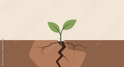 A young green plant grows with two leaves on cracked dry earth surface in a natural environment with visible roots.