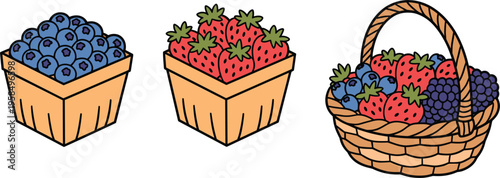Illustration of fresh blueberry and strawberry cartons alongside a mixed berry wicker harvest gift basket.