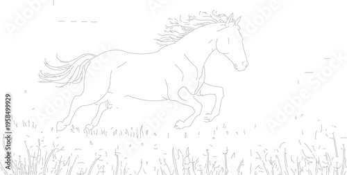Vector illustration of a running horse in a field