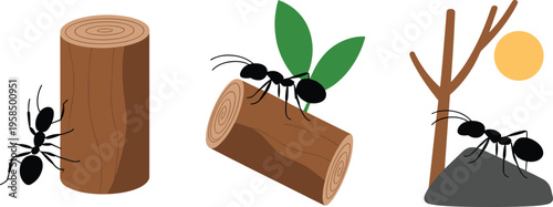 Ant carrying leaf climbing wood and rock illustration set showing teamwork effort persistence nature minimal flat vector design