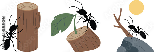 Ant teamwork concept illustration set carrying leaf climbing wood nature persistence strength cooperation minimal vector design outdoor scene
