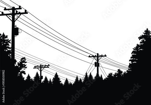 Silhouette of utility poles with transformers, crossarms, power lines, coniferous forest background, rural infrastructure, electricity distribution, high voltage grid