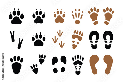 Vector set of animal tracks, collection of paw prints from dog, cat, bear and wolf, footprints of deer, bird and reptile, wildlife trail silhouette, forest animal step icons, clean illustration set 