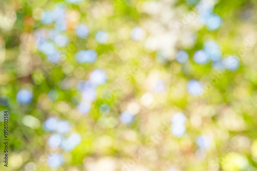 Blurred colorful spring meadow. Abstract garden texture. Sunny nature background for spring and easter.