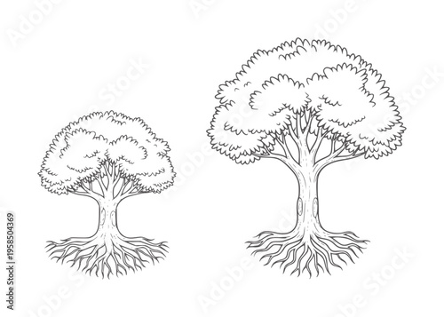 Two hand drawn trees with visible roots and textured foliage