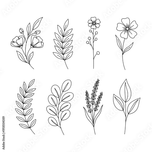 One Line Continuous of Plant Set Single Line Drawing Art Botanical Plant Isolated