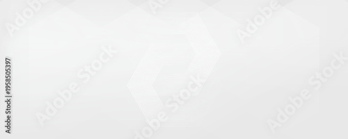 Hexagon white gray wave light technology texture background. Abstract big data digital concept simple art modern abstract