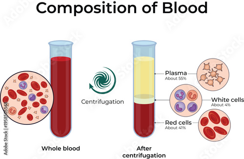 Blood Composition Diagram Showing Centrifugation Process