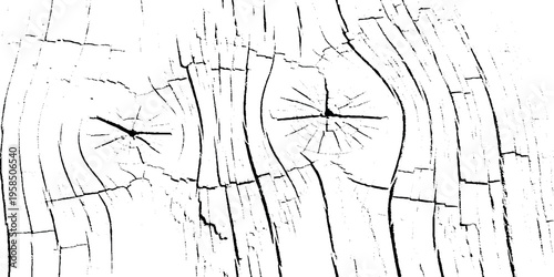 abstract grunge crack texture with various black stains as wooden texture crack distress grunge texture.