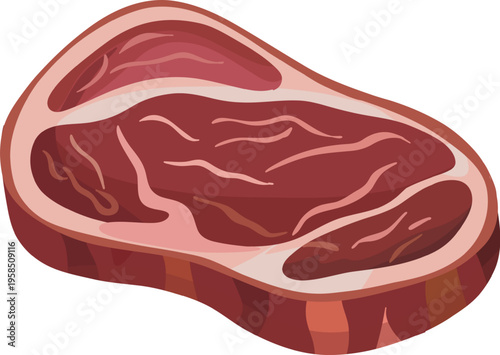 Raw Steak Cuts Illustration Set | Butcher Meat Collection