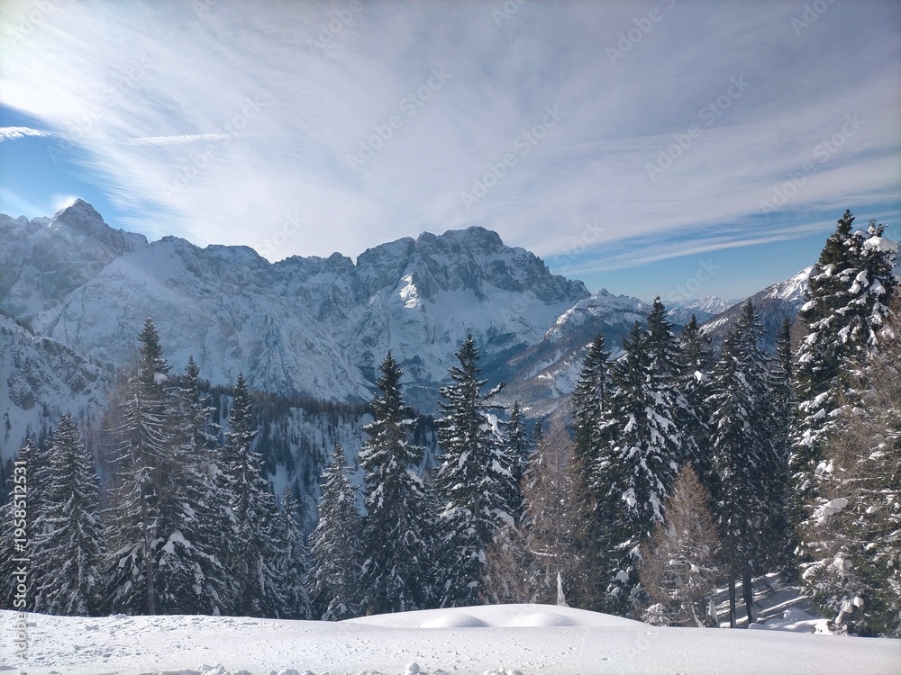Fototapeta premium snow covered mountains