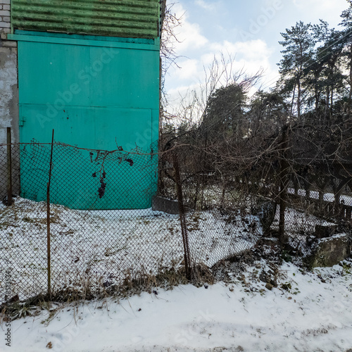 A small black curly dog stands on a snowy rural village road, lined with pine trees, metal fences,