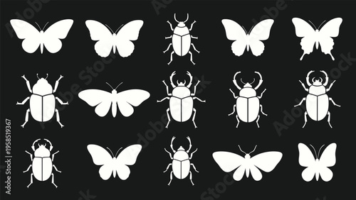Various white silhouettes of insects including butterflies moths and beetles arranged on a solid black background.