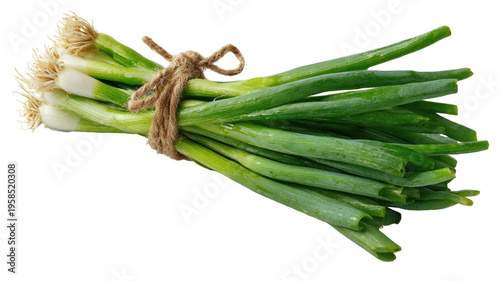 Fresh green onion bunch tied with rope spring scallions raw vegetable ingredient organic produce cooking garnish isolated on white background