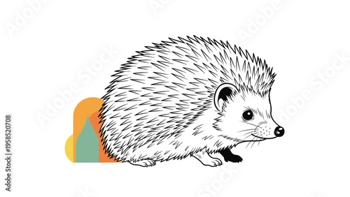 Detailed black and white line drawing of a small hedgehog walking peacefully with a simple colorful geometric shape in the background.