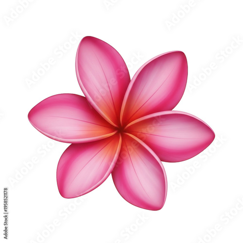 A beautiful pink flower with delicate petals and a vibrant center isolated on transparent background