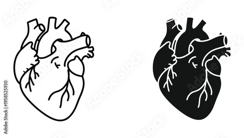 Heart Icon Silhouette Anatomical Medical Symbol