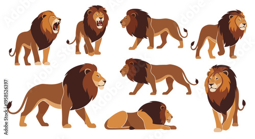 Majestic Lion Collection: Diverse Poses of King of the Jungle