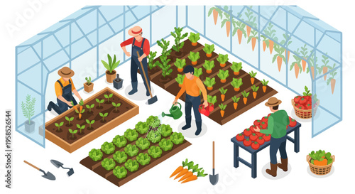 Greenhouse Farming Isometric: People Planting and Harvesting Vegetables