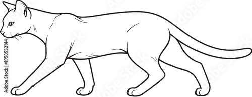 Havana Brown cat walking side view line art black and white feline movement vector illustration