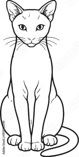 Havana Brown cat sitting upright alert line art black and white feline front view vector illustration