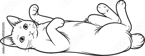 Japanese Bobtail Cat Lying Belly Up Line Art Illustration Isolated Black And White Vector Playful Feline Pose