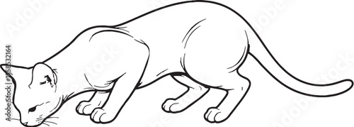 Havana Brown cat eating posture line art black and white feline feeding pose vector illustration