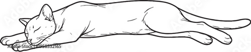 Havana Brown cat sleeping stretched out line art black and white feline relaxed pose vector illustration