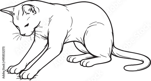 Havana Brown cat kneading paws line art black and white feline comfort behavior vector illustration