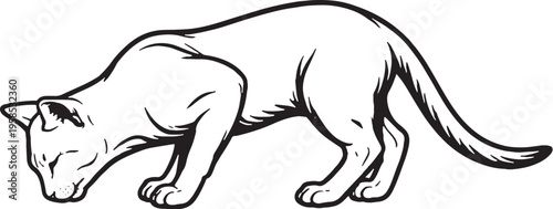 Egyptian Mau Cat Eating Pose Line Art Illustration Black White Feline Feeding Behavior Vector