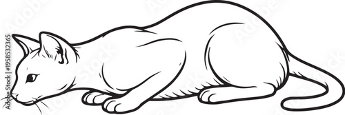 Havana Brown cat pouncing crouch line art black and white feline hunting pose vector illustration