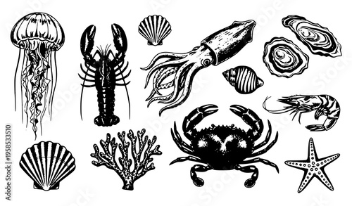 Hand Drawn Marine Life Vector Illustration Black Brush Ink Sea Creatures Vintage Set