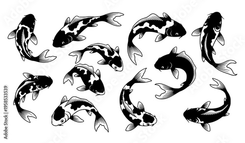 Nine Koi Fish Black Silhouette Vector Collection Japanese Carp Illustration Set