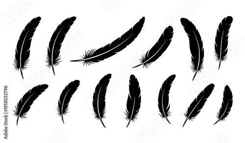 Black and White Bird Feather Vector Icons Set Hand Drawn Silhouette Collection