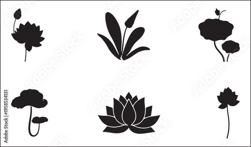 Elegant black and white silhouettes of diverse aquatic and garden plants