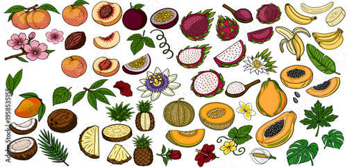 Vibrant vector set of tropical fruits and flowers, isolated on white background