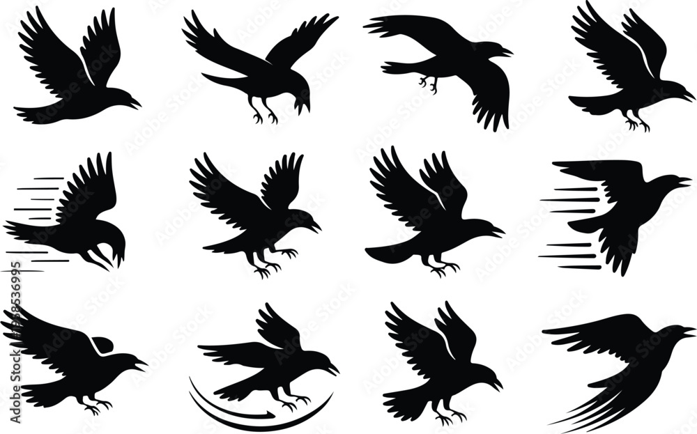 Fototapeta premium Raven Silhouette Icon Collection Set