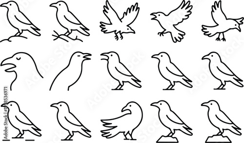 Raven Silhouette Icon Collection Set