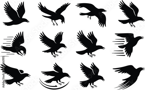 Raven Silhouette Icon Collection Set