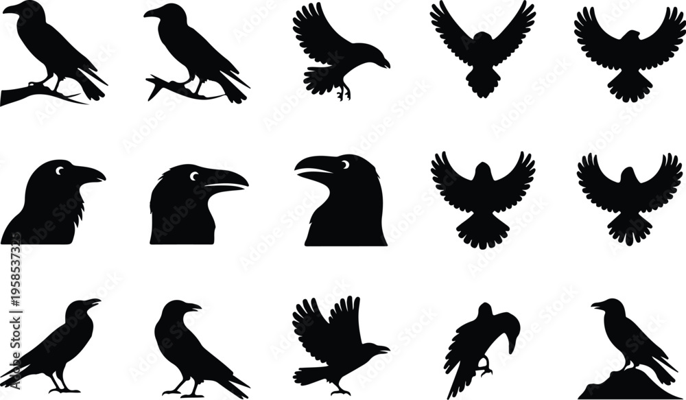 Fototapeta premium Raven Silhouette Icon Collection Set