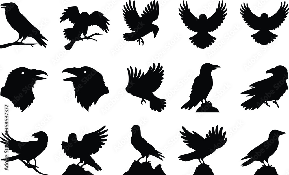 Fototapeta premium Raven Silhouette Icon Collection Set