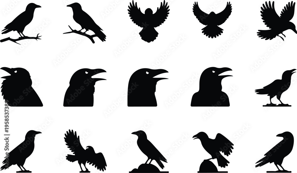 Fototapeta premium Raven Silhouette Icon Collection Set