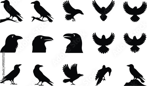 Raven Silhouette Icon Collection Set