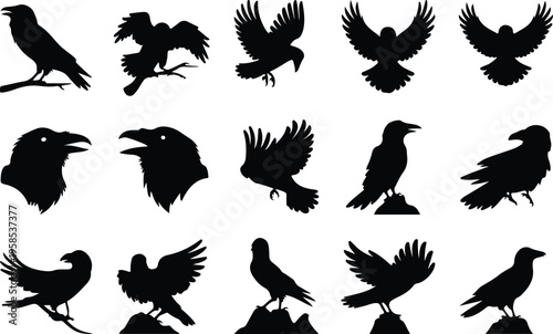 Raven Silhouette Icon Collection Set