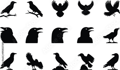 Raven Silhouette Icon Collection Set