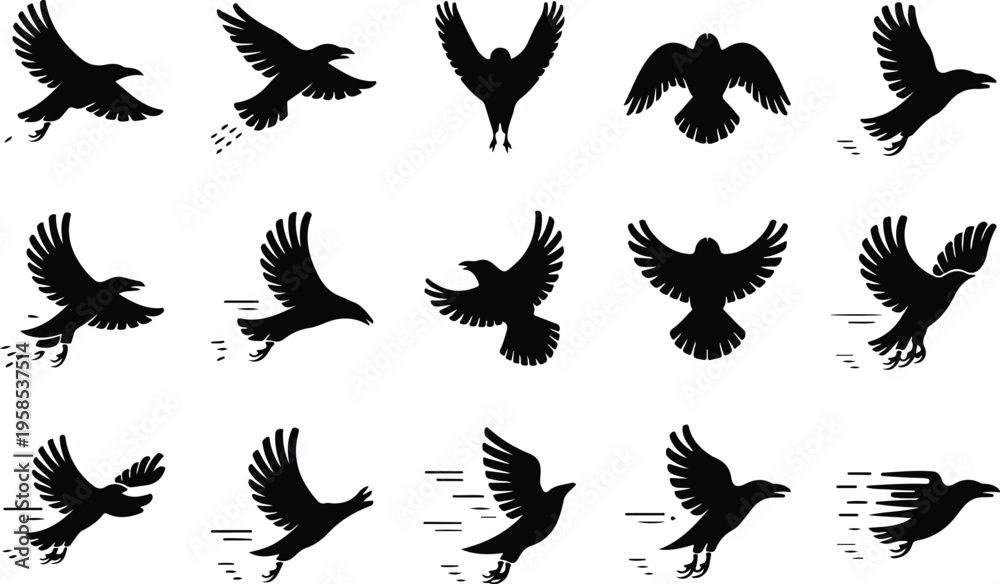 Fototapeta premium Raven Silhouette Icon Collection Set