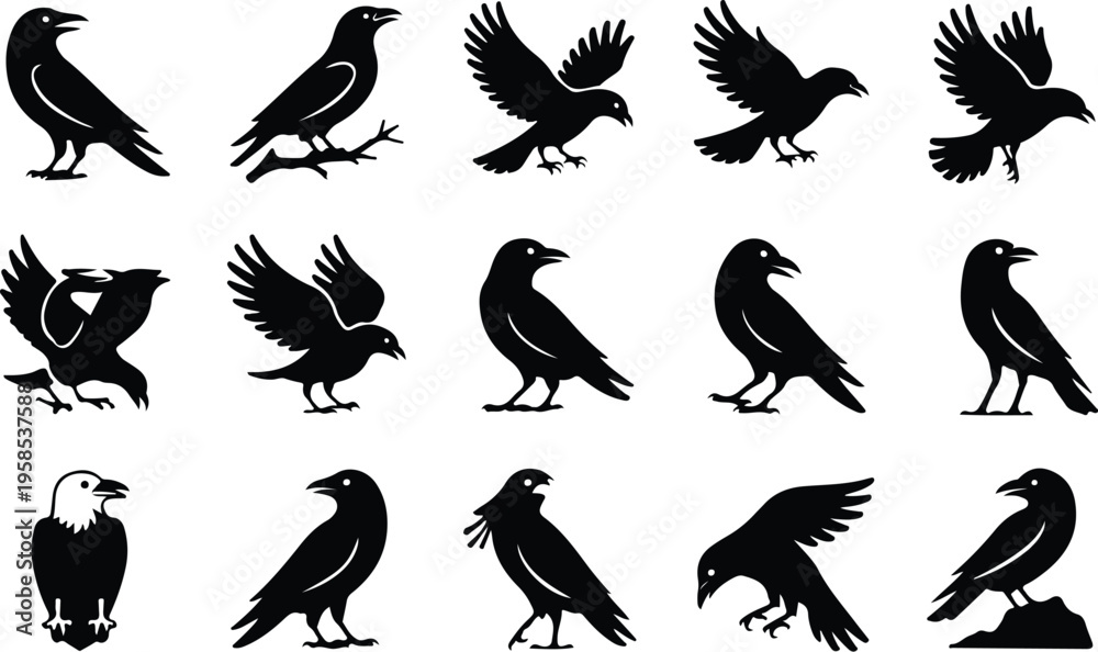 Fototapeta premium Raven Silhouette Icon Collection Set