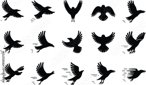 Raven Silhouette Icon Collection Set