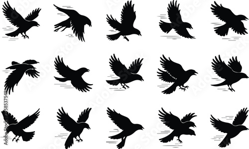 Raven Silhouette Icon Collection Set